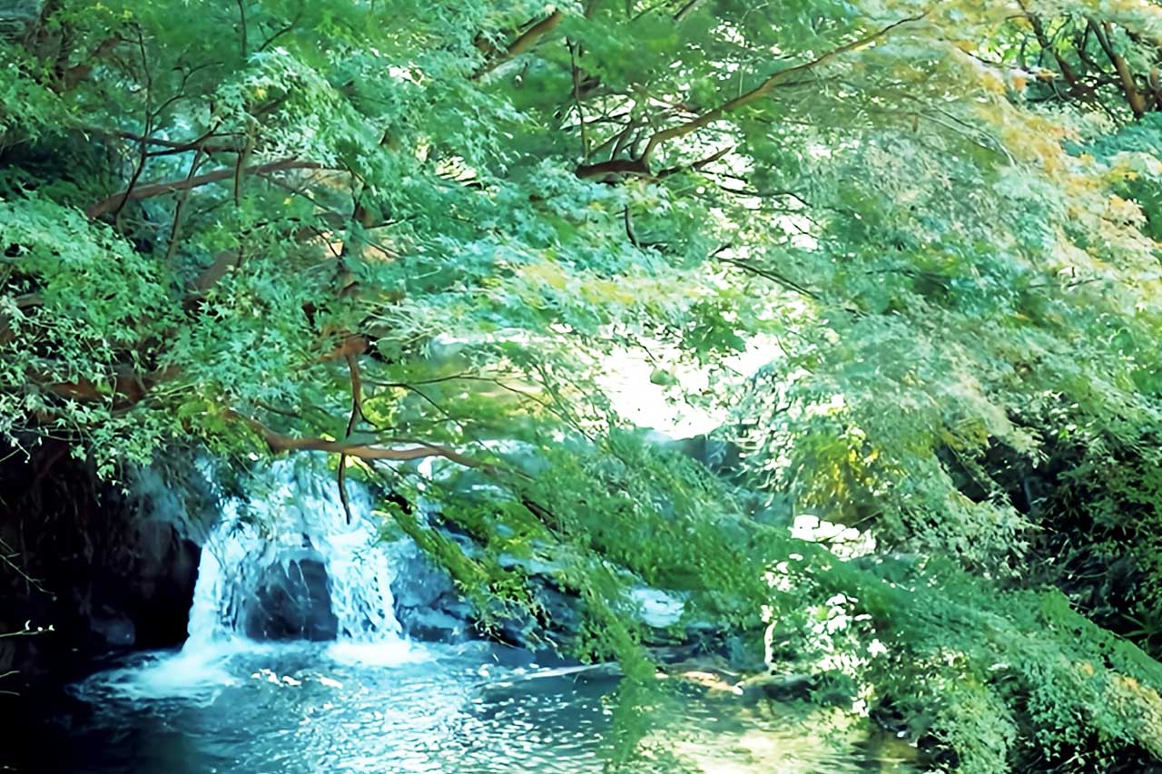 川遊び