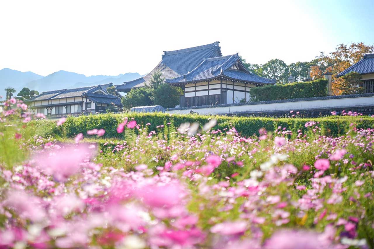 橘寺