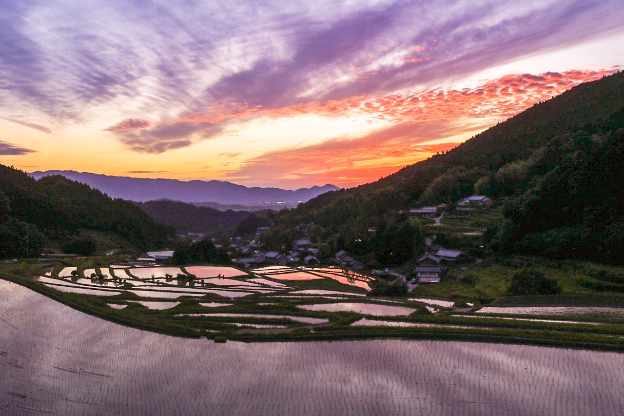 棚田風景